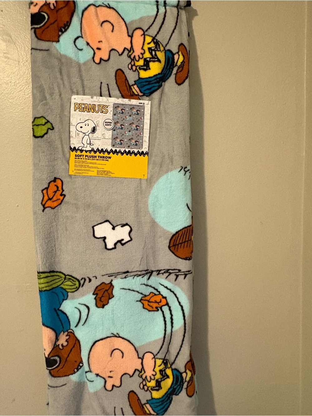 NWT Peanuts Charlie Brown & Lucy Football Fall Plush Throw Blanket 50x70